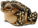 toad netsuke